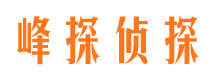 原阳市侦探调查公司